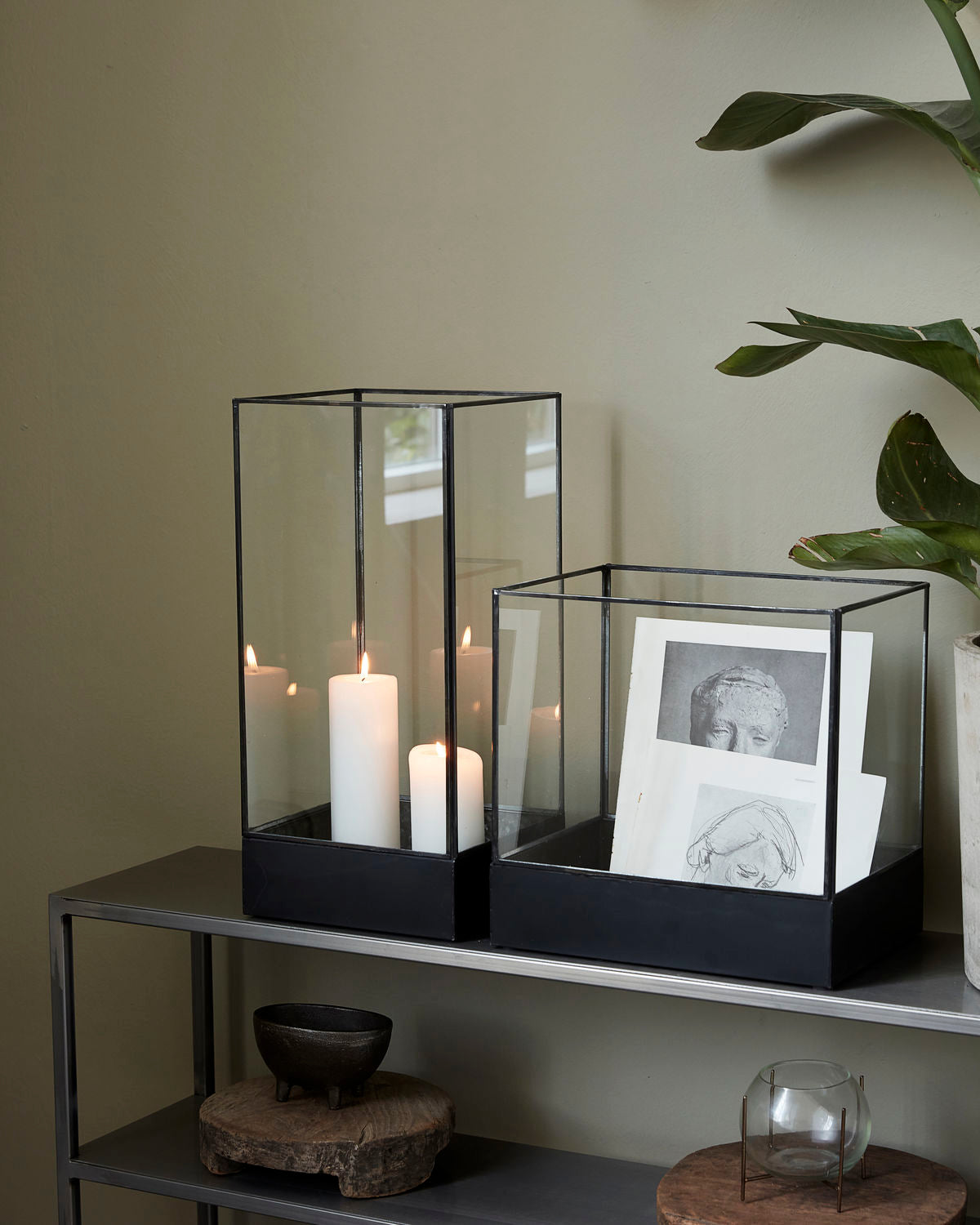 'Plant' Display Box low - by house doctor