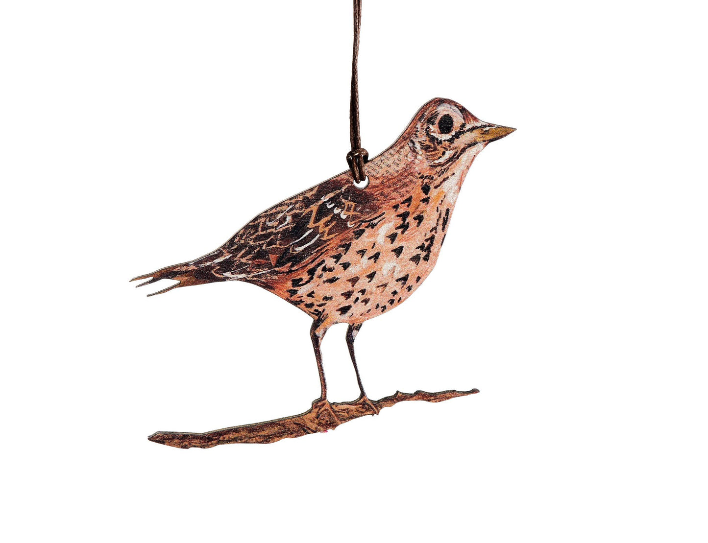 Song Thrush birch plywood decoration