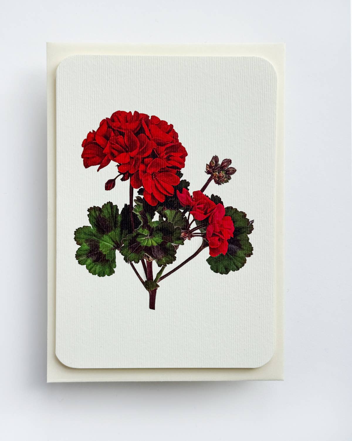 Geranium Greeting Card: Individual