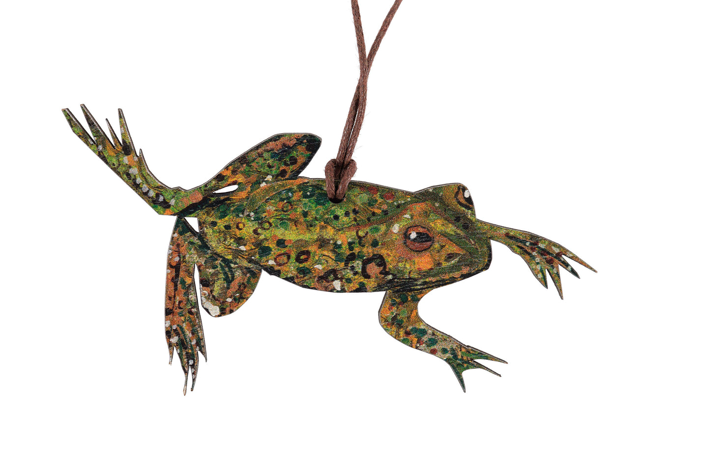 Frog birch plywood decoration