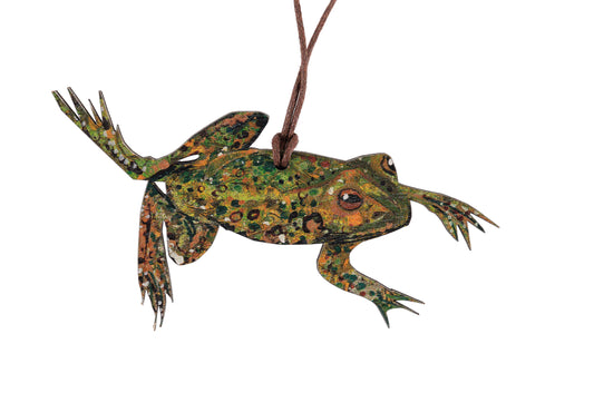 Frog birch plywood decoration