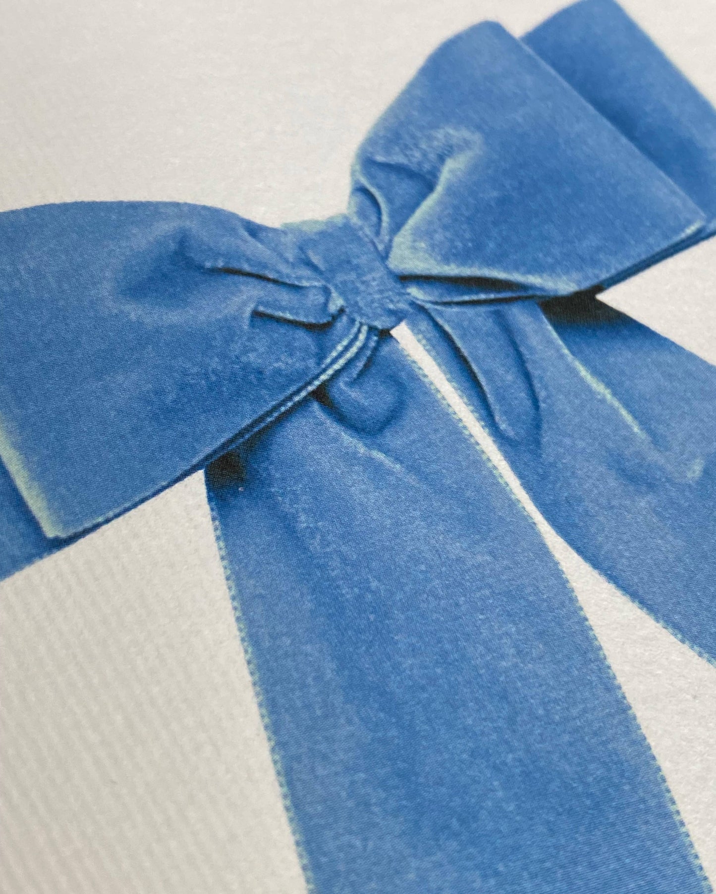 Baby Blue Velvet Bow Greeting Card: Individual