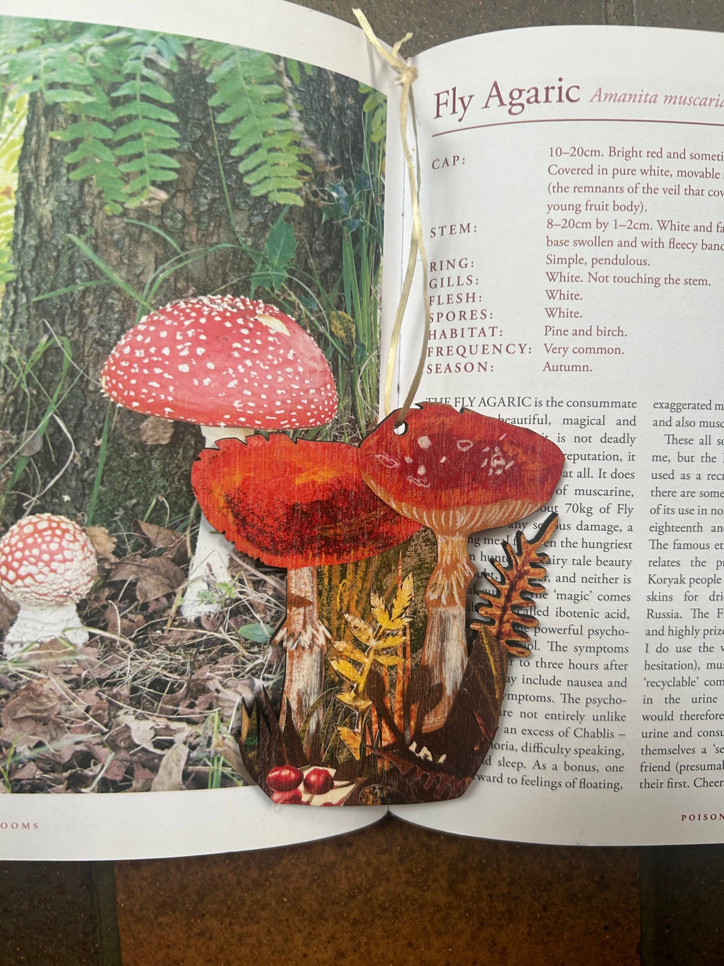 Toadstools birch plywood decoration 