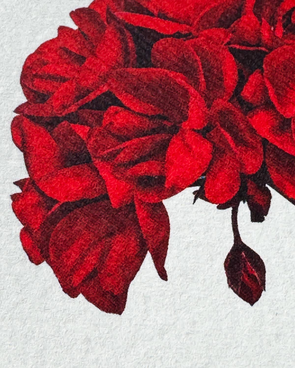 Geranium Greeting Card: Individual