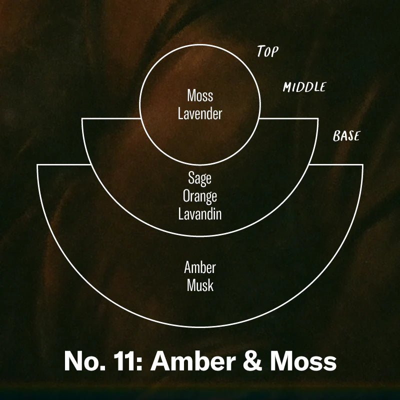 P.F. Candle Co. Amber and Moss - Incense Sticks
