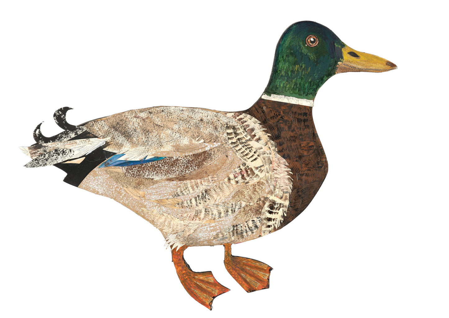 Mallard birch plywood decoration 